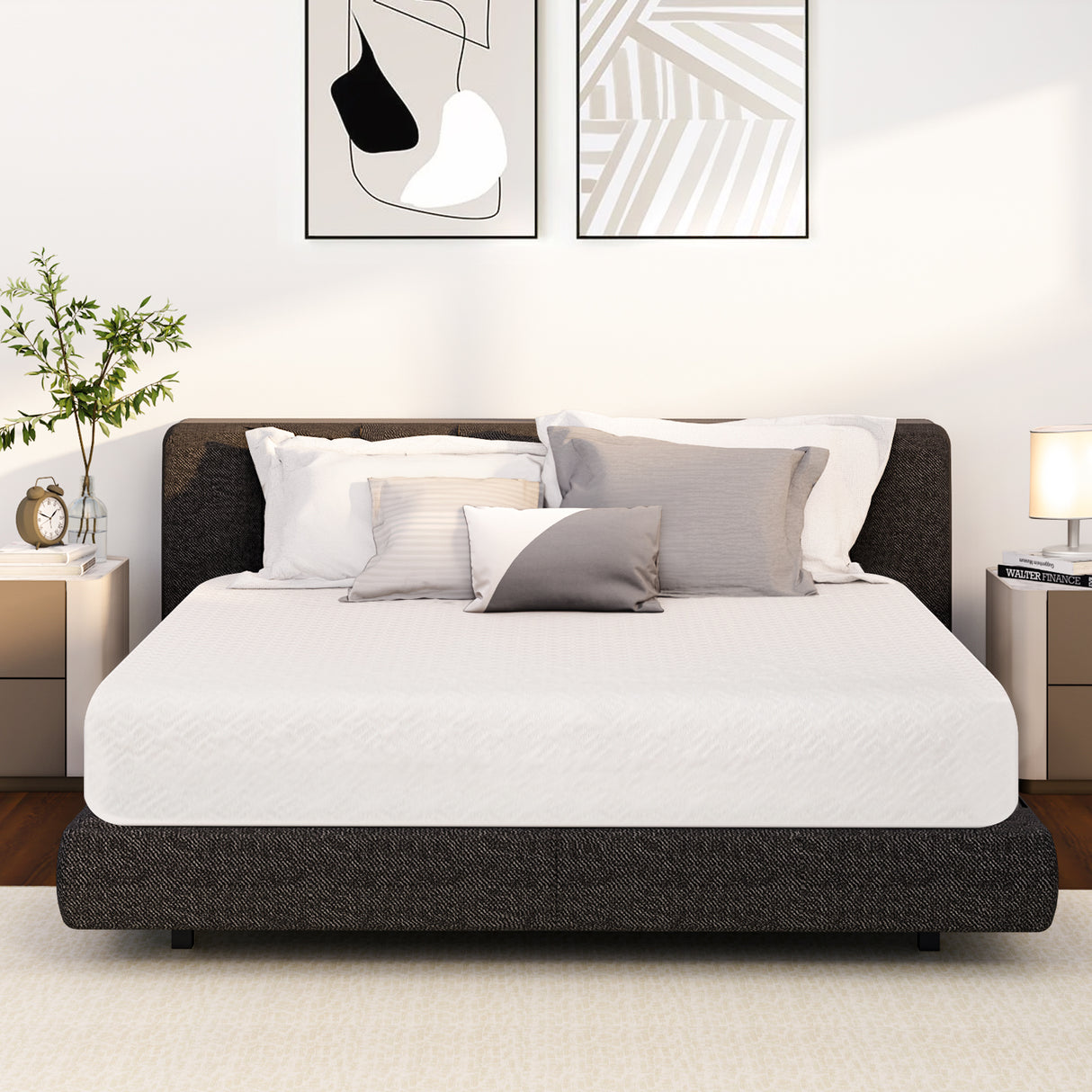 [NEO Sleep] Basic+ CK 10in Mattress